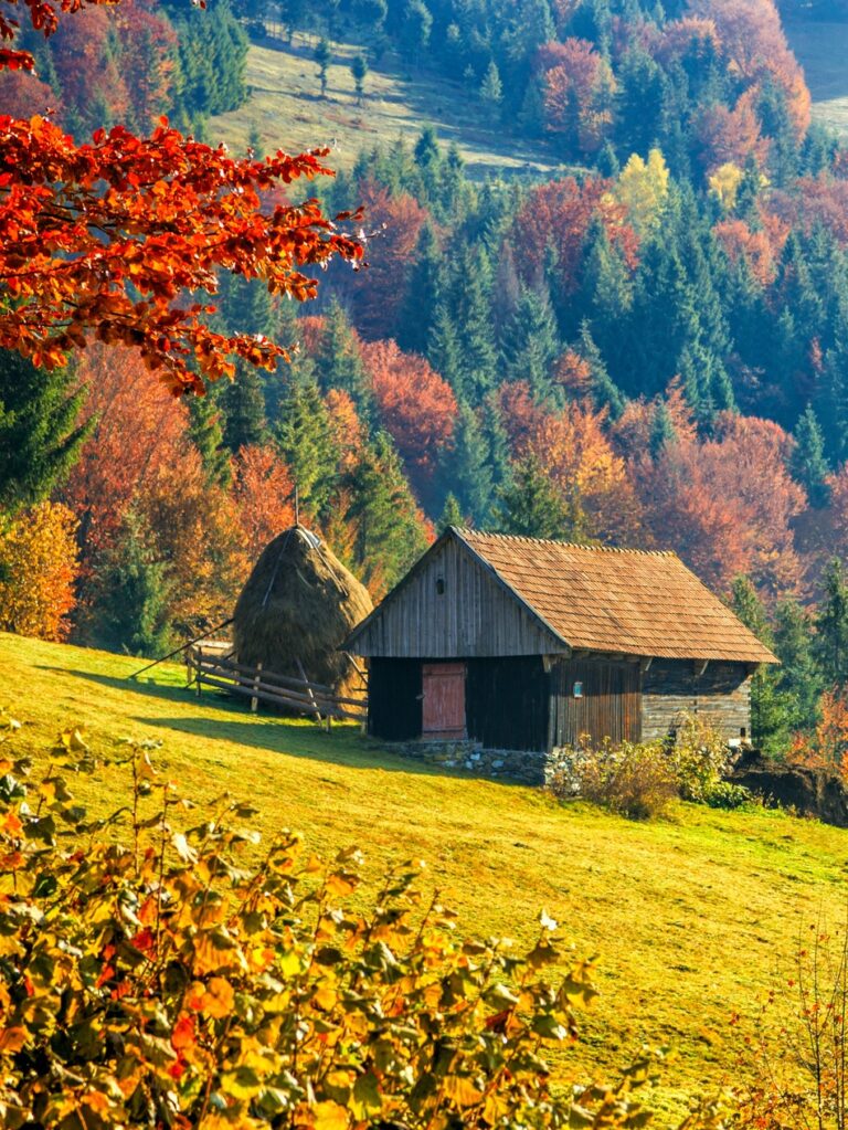 Autumn mountain lanscapse with orange and gold trees and a small wooden house on a slope with haystack.
