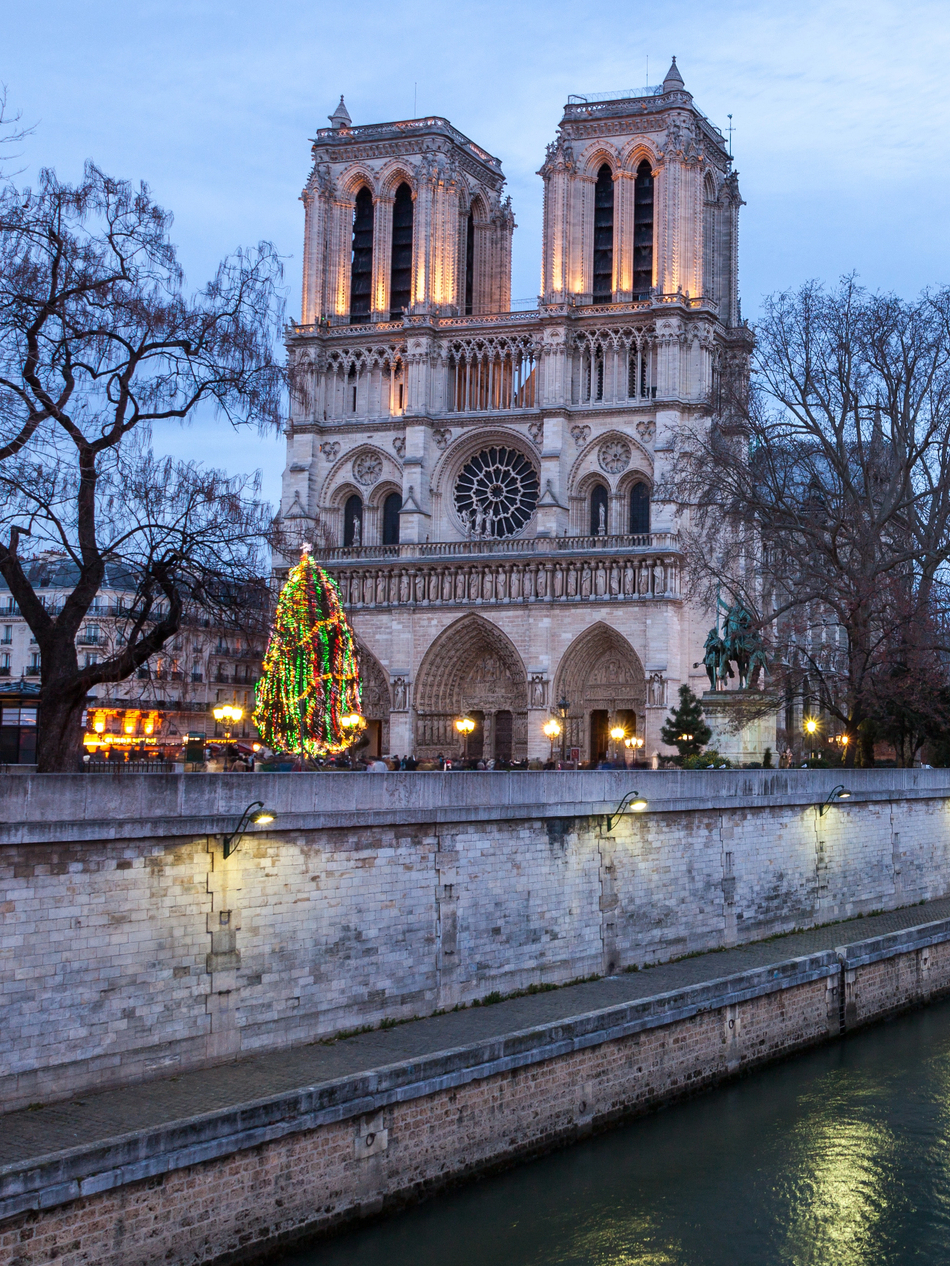 Notre-Dame Cathedral and a decorated Christmas tree beside the Seine in Paris.